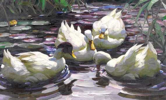 Alexander Koester - Vier schwimmende Enten im Teich