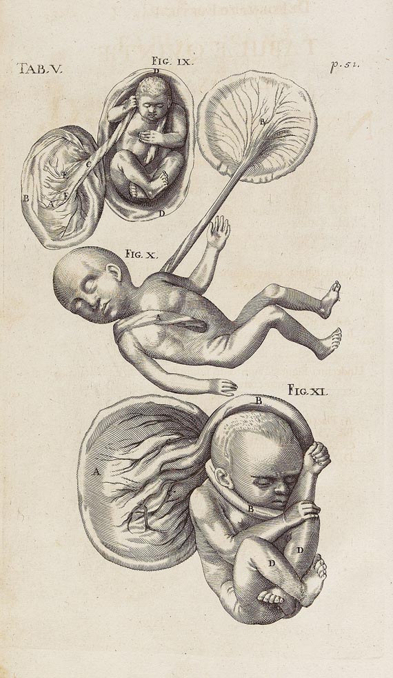 Hieronymus Fabricius ab Aquapendente - Opera omnia anatomica et physiologica. Leipzig 1687