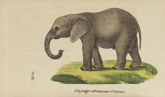 Buhle, C. A. A. - Naturgeschichte. 2 Bde. 1857