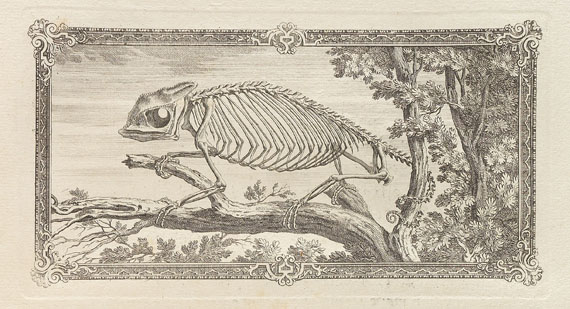 William Cheselden - Osteographia or the anatomy of the bones. 1733.
