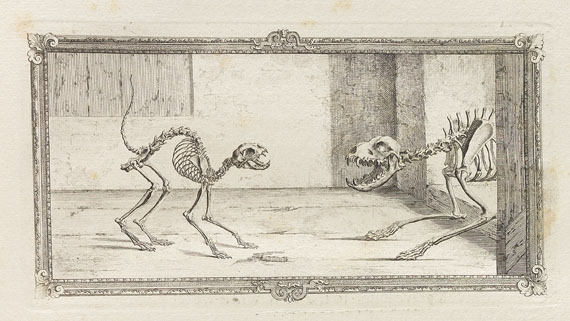 William Cheselden - Osteographia or the anatomy of the bones. 1733. - Weitere Abbildung