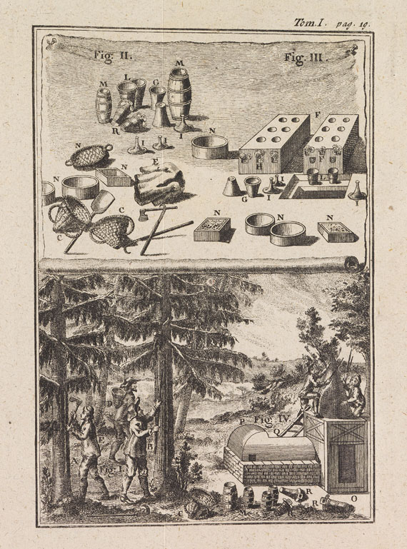 Henri Louis Duhamel du Monceau - Abhandlung von Bäumen. 1762-63. 3 Tle. in 1 Bd.