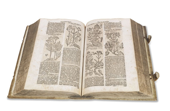 Theodor Zwinger - Theatrum Botanicum ... Kräuter-Buch